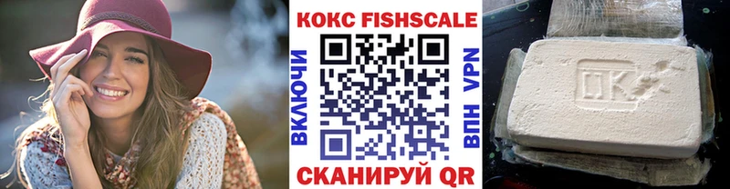 Cocaine FishScale  сколько стоит  Снежногорск 