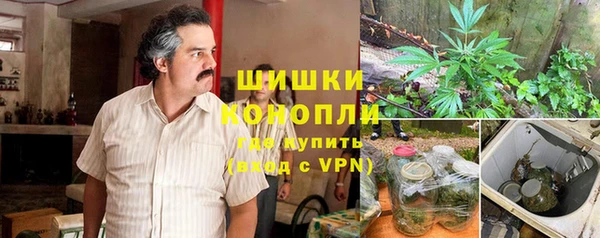 ешки Аркадак