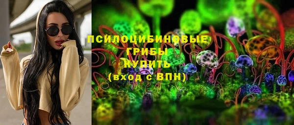 ешки Аркадак