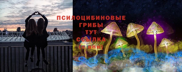 ешки Аркадак